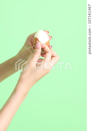 Hand Holding Food Hand Holding Food 107161467