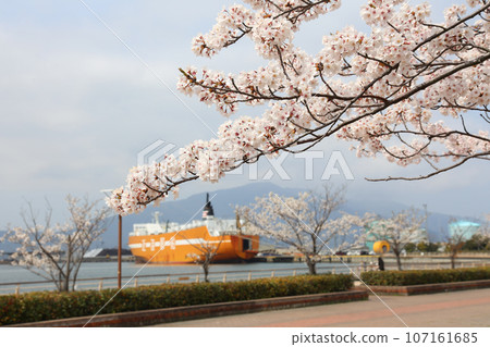 Wakasa Port, Kanegasaki Green Area, Tsuruga Red Brick Warehouse, Tsuruga Railway Museum, Port of Humanity Tsuruga Museum, Kanegasaki Green Area Clock Tower 107161685