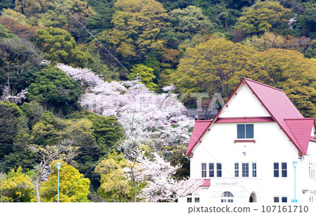 Wakasa Port, Kanegasaki Green Area, Tsuruga Red Brick Warehouse, Tsuruga Railway Museum, Port of Humanity Tsuruga Museum, Kanegasaki Green Area Clock Tower 107161710