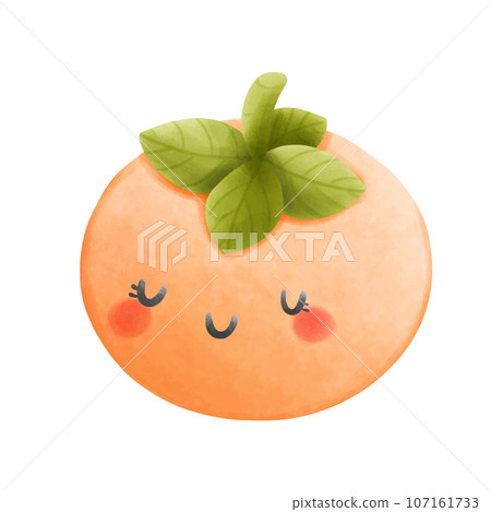 Orange tomato Isolated vegetables on white background illustration 107161733