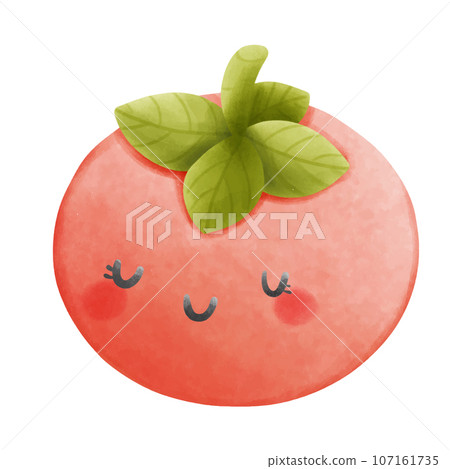 Red tomato Isolated vegetables on white background illustration Red tomato Isolated vegetables on white background illustration 107161735