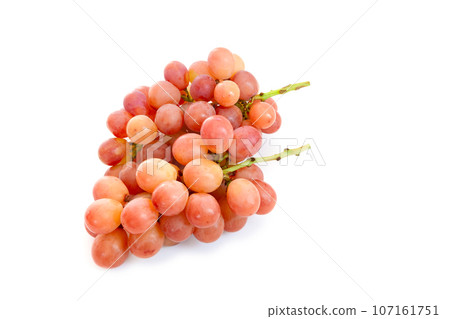 Kotopi (Kai Otome x Shine Muscat) [White background/cutout] 107161751