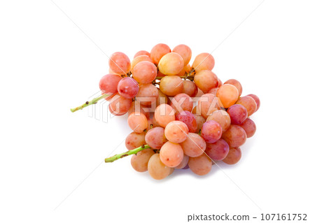 Kotopi（Kai Otome x Shine Muscat）[白色背景/鏤空] 107161752