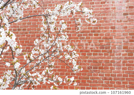 Wakasa Port, Kanegasaki Green Area, Tsuruga Red Brick Warehouse, Tsuruga Railway Museum, Port of Humanity Tsuruga Museum, Kanegasaki Green Area Clock Tower 107161960