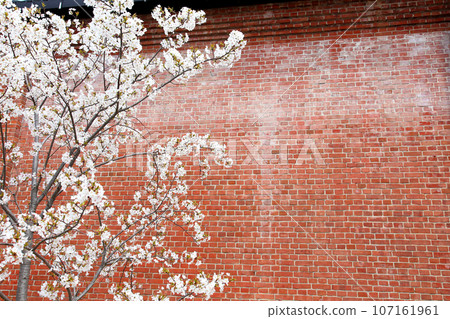 Wakasa Port, Kanegasaki Green Area, Tsuruga Red Brick Warehouse, Tsuruga Railway Museum, Port of Humanity Tsuruga Museum, Kanegasaki Green Area Clock Tower 107161961