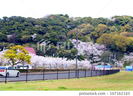 Wakasa Port, Kanegasaki Green Area, Tsuruga Red Brick Warehouse, Tsuruga Railway Museum, Port of Humanity Tsuruga Museum, Kanegasaki Green Area Clock Tower Wakasa Port, Kanegasaki Green Area, Tsuruga Red Brick Warehouse, Tsuruga Railway Museum, Port of Humanity Tsuruga Museum, Kanegasaki Green Area Clock Tower 107162183
