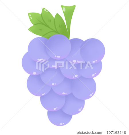 illustration of grapes illustration of grapes 107162248