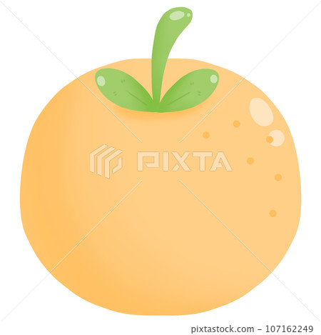 illustration of an Orange 107162249