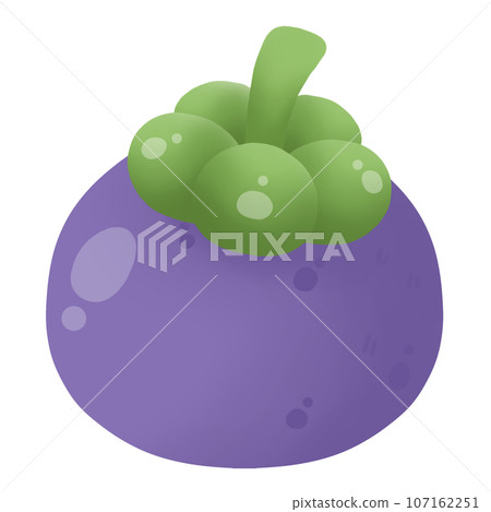 illustration of mangosteen illustration of mangosteen 107162251