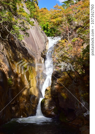 Autumn scenery of Mitake Shosenkyo Gorge with autumn leaves Autumn scenery of Mitake Shosenkyo Gorge with autumn leaves 107162760