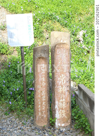 Wakasa Tsunegami Fishing Port Wakasa Tsunegami Cycads of Tsunegami Fukui Prefecture Wakasa Town Tsunegami B&B District Wakasa Tsunegami Town Wakasa Bay Sea of Japan Wakasa Tsunegami Fishing Port Wakasa Tsunegami Cycads of Tsunegami Fukui Prefecture Wakasa Town Tsunegami B&B District Wakasa Tsunegami Town Wakasa Bay Sea of Japan 107162901