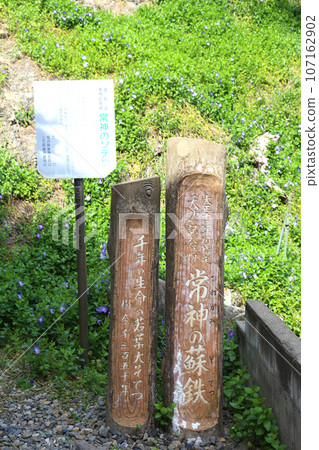 Wakasa Tsunegami Fishing Port Wakasa Tsunegami Cycads of Tsunegami Fukui Prefecture Wakasa Town Tsunegami B&B District Wakasa Tsunegami Town Wakasa Bay Sea of Japan Wakasa Tsunegami Fishing Port Wakasa Tsunegami Cycads of Tsunegami Fukui Prefecture Wakasa Town Tsunegami B&B District Wakasa Tsunegami Town Wakasa Bay Sea of Japan 107162902