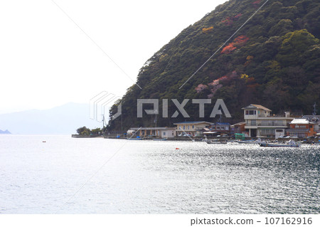 Wakasa Tsunegami Fishing Port Wakasa Tsunegami Cycads of Tsunegami Fukui Prefecture Wakasa Town Tsunegami B&B District Wakasa Tsunegami Town Wakasa Bay Sea of Japan Wakasa Tsunegami Fishing Port Wakasa Tsunegami Cycads of Tsunegami Fukui Prefecture Wakasa Town Tsunegami B&B District Wakasa Tsunegami Town Wakasa Bay Sea of Japan 107162916