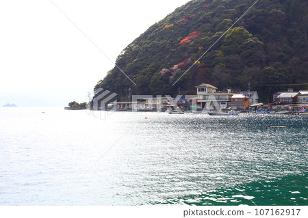 Wakasa Tsunegami Fishing Port Wakasa Tsunegami Cycads of Tsunegami Fukui Prefecture Wakasa Town Tsunegami B&B District Wakasa Tsunegami Town Wakasa Bay Sea of Japan 107162917