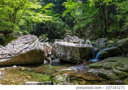 Akame Valley/Hyakutaiwa Rock Akame Valley/Hyakutaiwa Rock 107163271