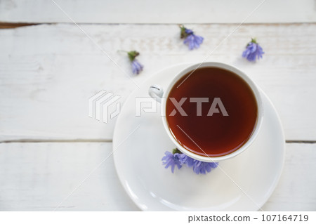 Top view, flat surface. Drink from chicory roots in a cup, a flowering chicory plant on a white wooden table. An alternative to decaffeinated coffee. High quality photo 107164719