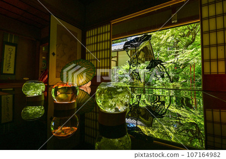 [Shiga] I was healed in the calm space of Konan Sanzan and Chojuji Temple. 107164982