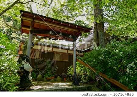 [滋賀]在香南三山和長壽寺的平靜空間裡，我得到了治癒。 107164986