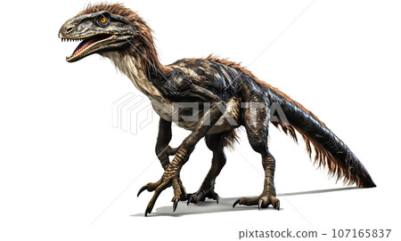 Velociraptor image 4-7 107165837