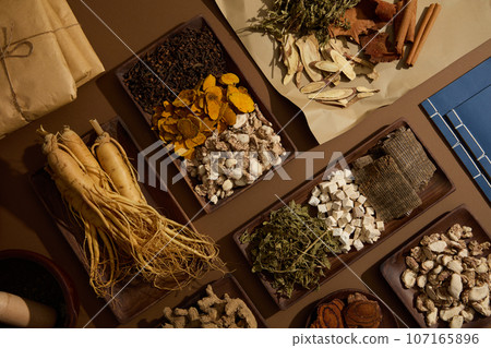 View from above of a lot of herbal medicine are displayed with few packs of medicine and two ancient Chinese medicine books. Precious medicine for health View from above of a lot of herbal medicine are displayed with few packs of medicine and two ancient Chinese medicine books. Precious medicine for health 107165896