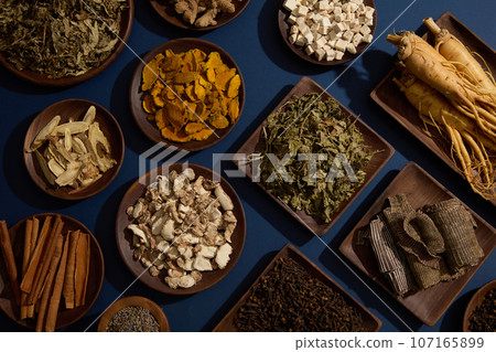 Over the blue background, many different types of traditional medicine are arranged. These herbs have great medicinal value Over the blue background, many different types of traditional medicine are arranged. These herbs have great medicinal value 107165899