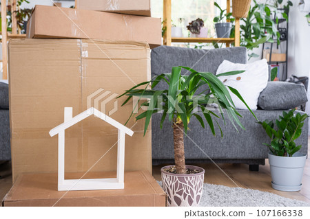 Boxes with things for moving and house plants are in the room of the new house. Housewarming, family property, cargo transportation and delivery of things Boxes with things for moving and house plants are in the room of the new house. Housewarming, family property, cargo transportation and delivery of things 107166338
