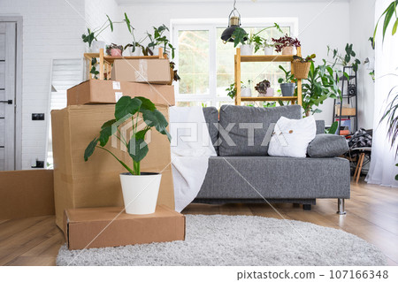 Boxes with things for moving and house plants are in the room of the new house. Housewarming, family property, cargo transportation and delivery of things 107166348