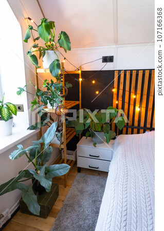Loft style bedroom interior, black wall with wooden slats, metal bed, retro light bulbs garland, potted plants on a trapezoidal window in the attic. Modern Green House Loft style bedroom interior, black wall with wooden slats, metal bed, retro light bulbs garland, potted plants on a trapezoidal window in the attic. Modern Green House 107166368