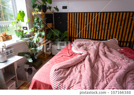 Unmade bed with red striped linen and a mess in Loft style bedroom interior, black wall with wooden slats, metal bed, potted plants on a trapezoidal window in the attic. Modern Green House 107166388