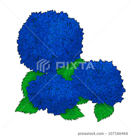 Illustration material of hydrangea 107166468