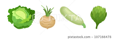 Ripe Vegetable and Local Agricultural Crop Vector Set Ripe Vegetable and Local Agricultural Crop Vector Set 107166478
