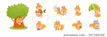 Cute Squirrel Character with Bushy Tail Engaged in Different Activity Vector Set Cute Squirrel Character with Bushy Tail Engaged in Different Activity Vector Set 107166509