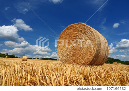 Beautiful summer landscape. Agricultural field. Round bundles of dry grass in the field with bleu sky and sun. Hay bale - haystack. 107166582