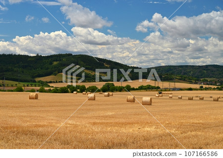 Beautiful countryside landscape. Hay bales in harvested fields. Beautiful countryside landscape. Hay bales in harvested fields. 107166586