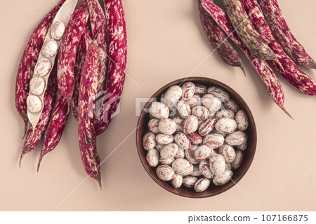 Cranberry beans. Borlotti bean pods in bowl. Top view. Stylish modern food background. Magenta color. Creative foodstuff flat lay. Grocery, dietary backdrop. Advertising, trendy magazine publication. 107166875