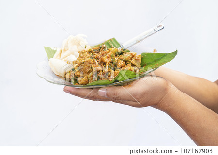 A human hand holding a plate with gado gado 107167903