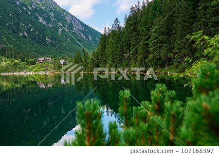 Spruce forest near blue lake in mountains. Tatra National Park in Poland. Panoramic view on Morskie Oko or Sea Eye lake in Five lakes valley. Nature landscape 107168397