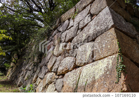 Old stone wall that remains in the ruins of the castle Old stone wall that remains in the ruins of the castle 107169110