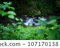 A beautiful stream flowing through fresh greenery 107170138