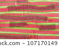 Texture of the marmalade strips laid out in rows of bright red-green colors, sprinkled with sugar. 107170149