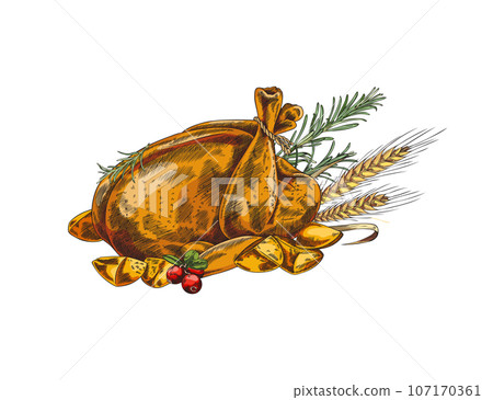 Roast poultry, chicken or turkey, hand drawn vector illustration. 107170361