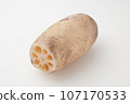 Delicious-looking lotus root (can be cut out) Delicious-looking lotus root (can be cut out) 107170533