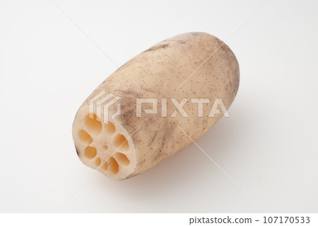 Delicious-looking lotus root (can be cut out) 107170533