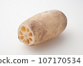 Delicious-looking lotus root (can be cut out) Delicious-looking lotus root (can be cut out) 107170534