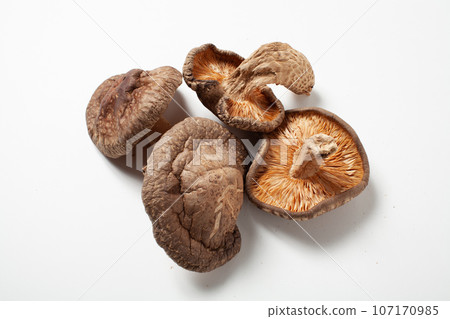 Shiitake mushroom collection, white background, front and back, can be cut out 107170985
