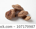 Shiitake mushroom collection white background can be cut out Shiitake mushroom collection white background can be cut out 107170987