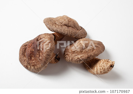 香菇收藏白色背景可剪出 107170987