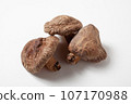 Shiitake mushroom collection white background can be cut out Shiitake mushroom collection white background can be cut out 107170988