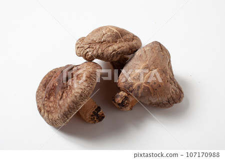 Shiitake mushroom collection white background can be cut out 107170988