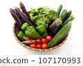 Summer vegetables can be gathered on a colander and cut out Summer vegetables can be gathered on a colander and cut out 107170993